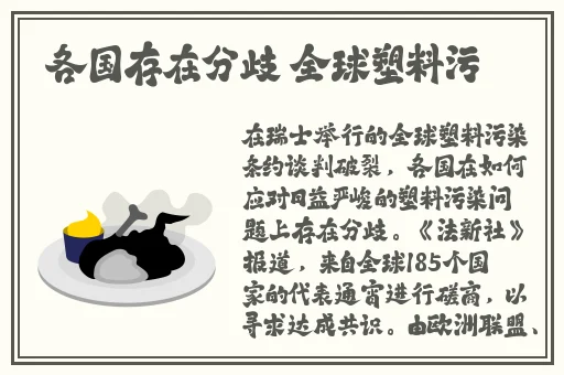 中国bgmbgmbgm老妇和青年交